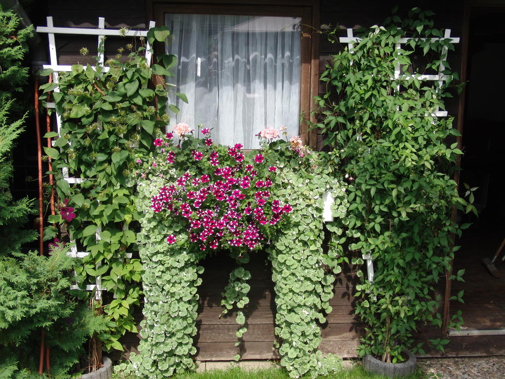 Gaestehaus Spieker ฮอร์น-บาด-ไมน์แบร์ก ภายนอก รูปภาพ